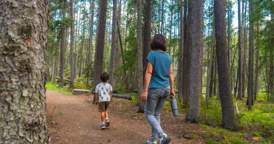 Best Outdoor Activities in Anaheim: Hiking Trails, Biking & Scenic Adventures